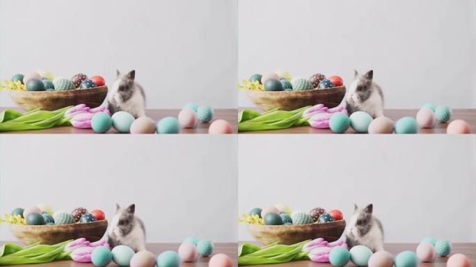 桌上可爱的复活节兔子，五颜六色的鸡蛋和郁金香。复活节节日装饰品。