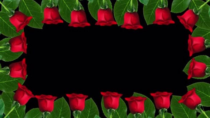 情人节玫瑰框架概念背景，无缝循环