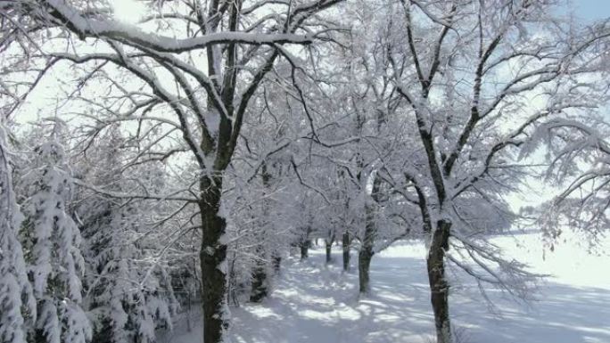 冬天有雪树的小巷雪域高原雪山风车高原电力