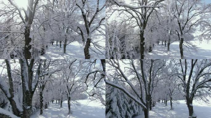 冬天有雪树的小巷雪域高原雪山风车高原电力