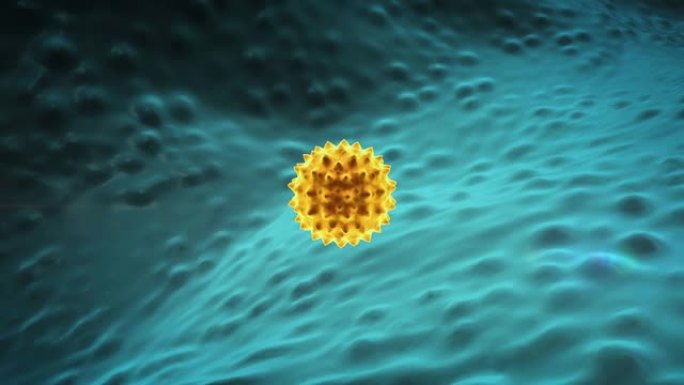 巨噬细胞和病毒