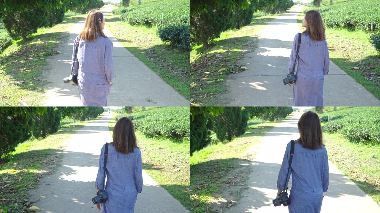 4k年轻美丽自信的亚洲女人穿着蓝色连衣裙，带着数码相机在夏日早晨穿过茶园农场。亚洲女性在大自然中放松