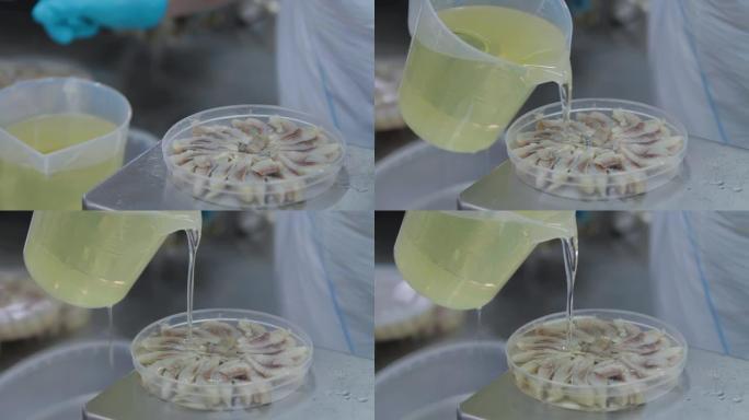 女工手的特写镜头将塑料壶中的油倒入一罐鱼皮。鱼可以在工厂生产，将鱼片分拣在塑料容器中