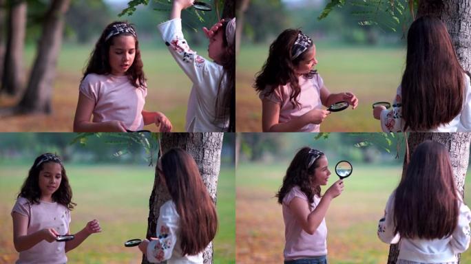 两个漂亮的年轻女孩和朋友一起通过放大镜看着植物上的昆虫，在公园里玩耍，公园里阳光明媚的秋天，在公园里
