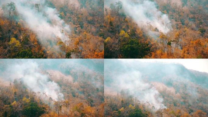 森林大火的烟雾。森林砍伐和气候危机。泰国雨林大火的有毒雾霾，马鸿山。航空视频4k