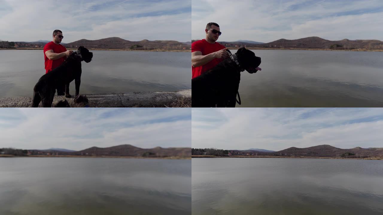 宠物主人和他的甘蔗corso繁殖的狗在湖边享受时光