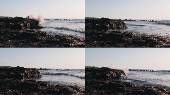 大浪海藻海岸近景。地中海受污染的海滩。被污染的海洋