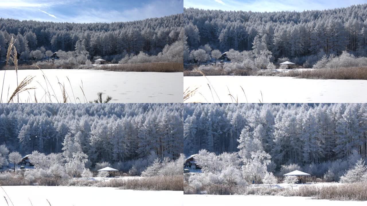 长野县圣高原的雪景。