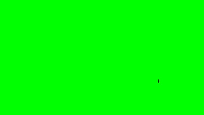 在绿色的屏幕上清晰可见，一群黑鸟在天空中飞舞