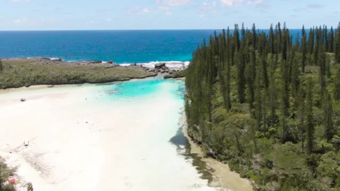 空中: 松树岛的镜头显示了新喀里多尼亚的珊瑚礁，松树和绿松石水。