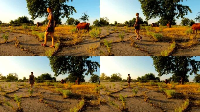 穿着短裙的女牛仔浪漫地离开相机，在杂草丛生的沥青草场附近的日落奶牛牧场上，炎热的夏天