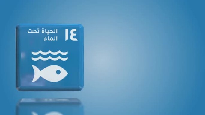 阿拉伯数字14水下生活3D盒子可持续发展目标2030年与复制空间