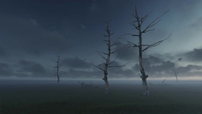 雾蒙蒙的风中的枯树。绿屏阿尔法。美国股票视频，树，色键，自然，