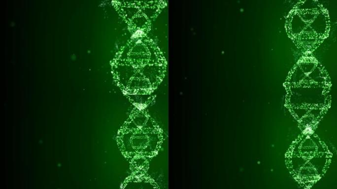 DNA结构分析。由腺嘌呤，胸腺嘧啶，鸟嘌呤和胞嘧啶四部分组成的DNA链分子。