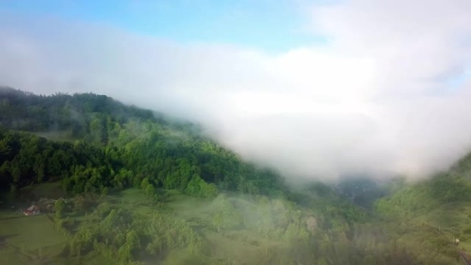 山中晨雾的鸟瞰图森林风光云海自然