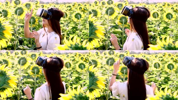 亚洲女性在日落时分在大向日葵之间的VR眼镜中工作
