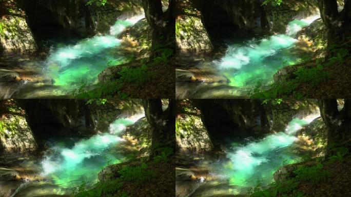 绿色森林中的瀑布 | 西泽山谷