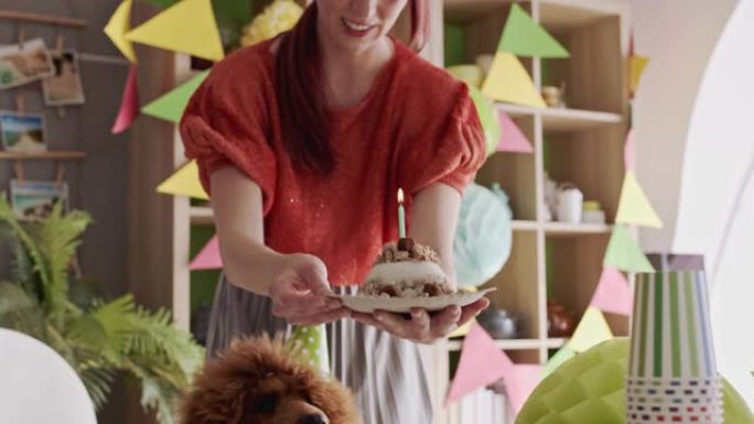 开朗的年轻女子为她的狗拿着蛋糕和生日蜡烛