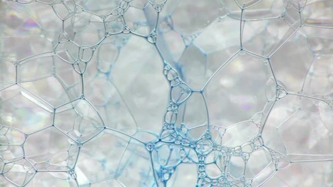 彩色肥皂泡沫与爆裂气泡背景。摘要生物结构，大分子模式。紫色墨水填充了大量在液体中形成的白色小气泡。自