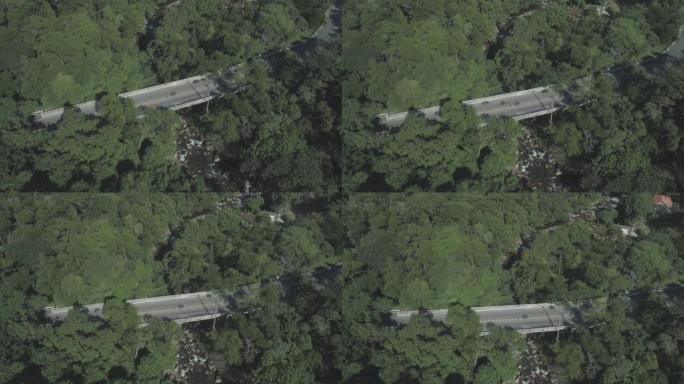 森林公路空中: 摩托车在郁郁葱葱的绿色丛林中间穿越公路大桥，下面有河