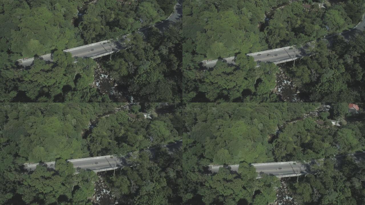 森林公路空中: 摩托车在郁郁葱葱的绿色丛林中间穿越公路大桥，下面有河