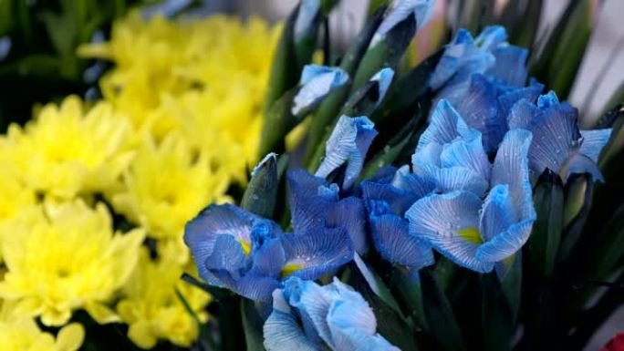 蓝色惊人的花朵鸢尾与水滴在花店出售，特写视图。