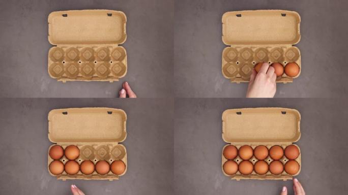女人手放盒子，把鸡蛋放在盒子里 -- 停止动作