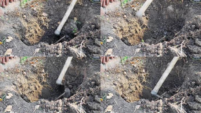 农民在土地上工作。用花园锄头挖洞。干燥的地面。