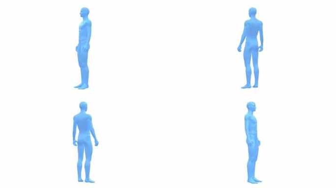 男人，男性人体，3D线框模型，无缝