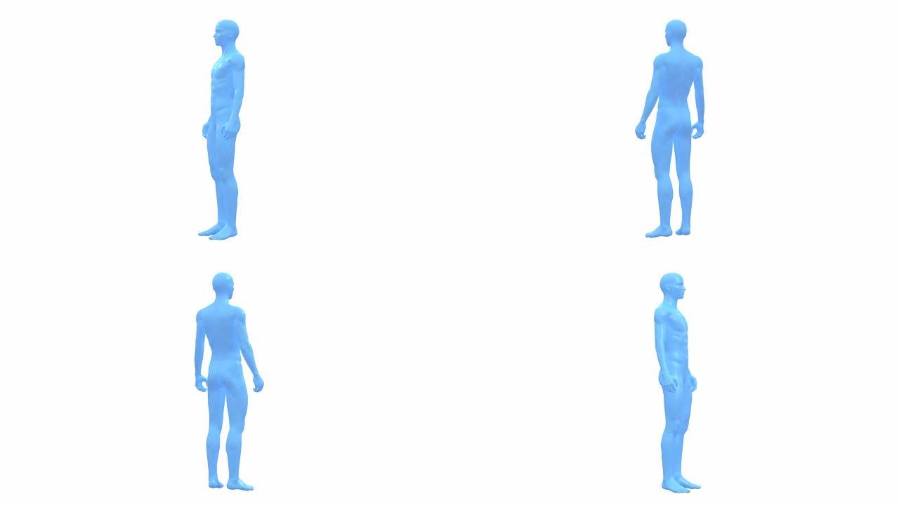 男人，男性人体，3D线框模型，无缝