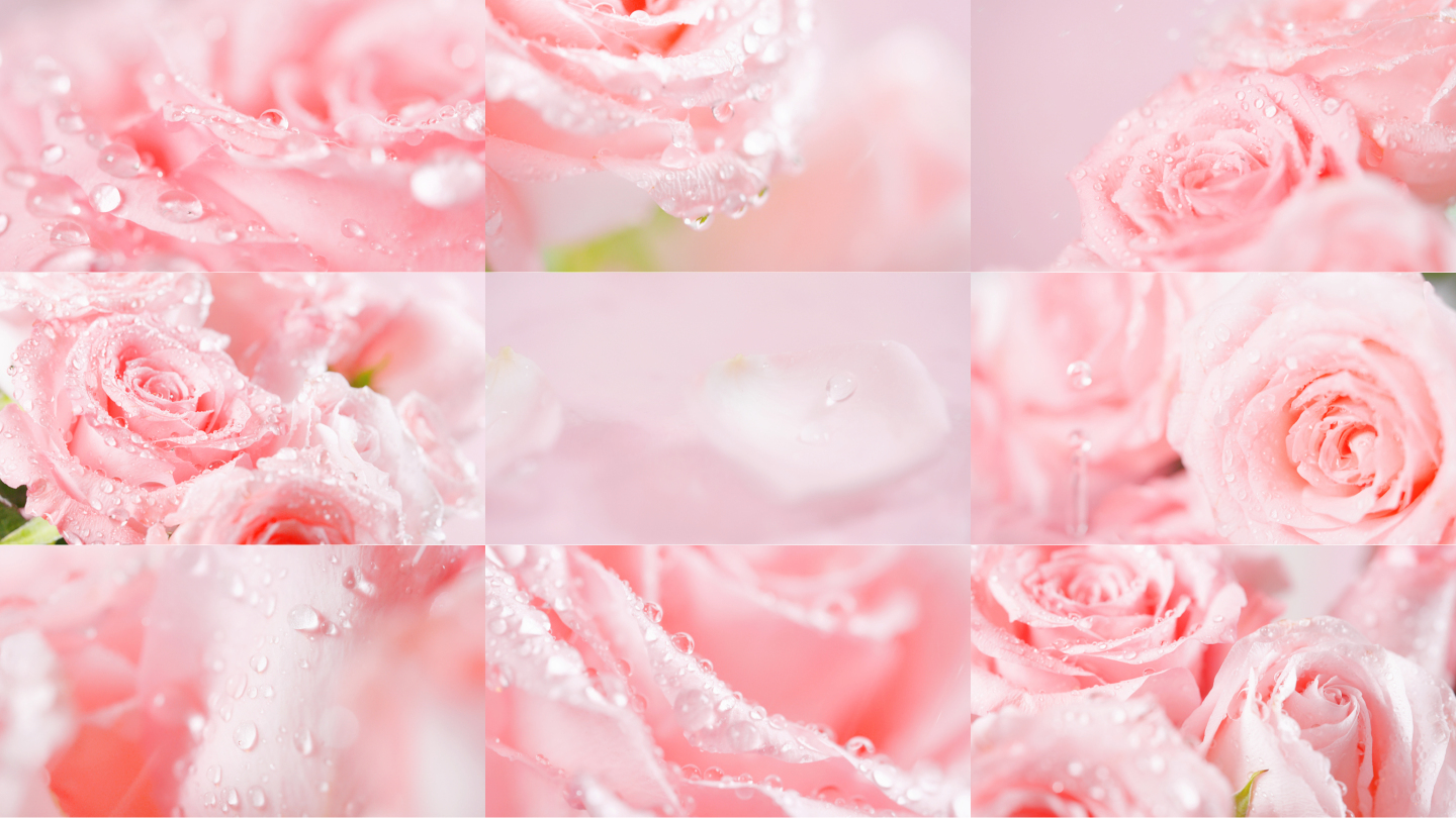 唯美粉色玫瑰花瓣滴水水珠花瓣飘落