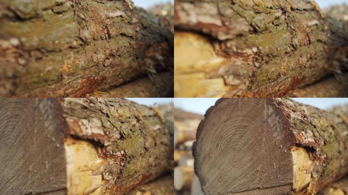 工业用木材储存。砍伐的树干。木柴全景图砍伐树干原木堆积准备。为工业生产砍伐森林。