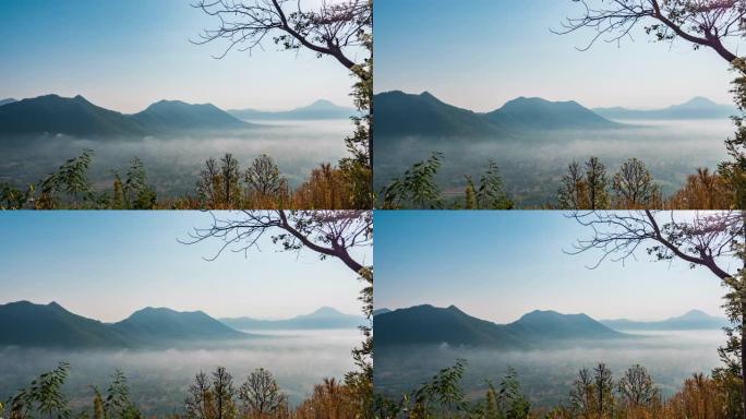 早晨，雾在雨林的山上滚动，延时视频