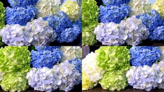 鲜花绣球花不同颜色在花店出售，特写视图。