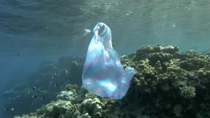 废弃的蓝色塑料袋在水面下漂流，在背景珊瑚礁上，一群鱼在附近游泳。塑料垃圾环境污染问题。水下射击，塑料