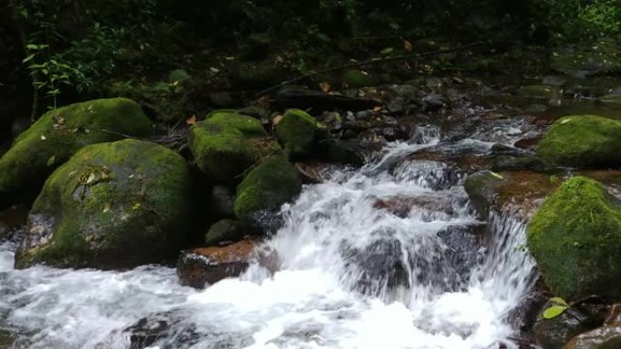 在热带河流的侧面steadicam拍摄，水在岩石上层叠