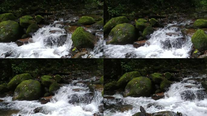 在热带河流的侧面steadicam拍摄，水在岩石上层叠