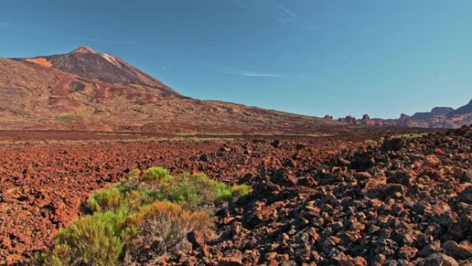 泰德火山，特内里费岛，西班牙加那利群岛。国家公园中的干旱沙漠，红色火星表面和野生绿色灌木丛