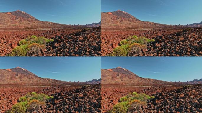 泰德火山，特内里费岛，西班牙加那利群岛。国家公园中的干旱沙漠，红色火星表面和野生绿色灌木丛