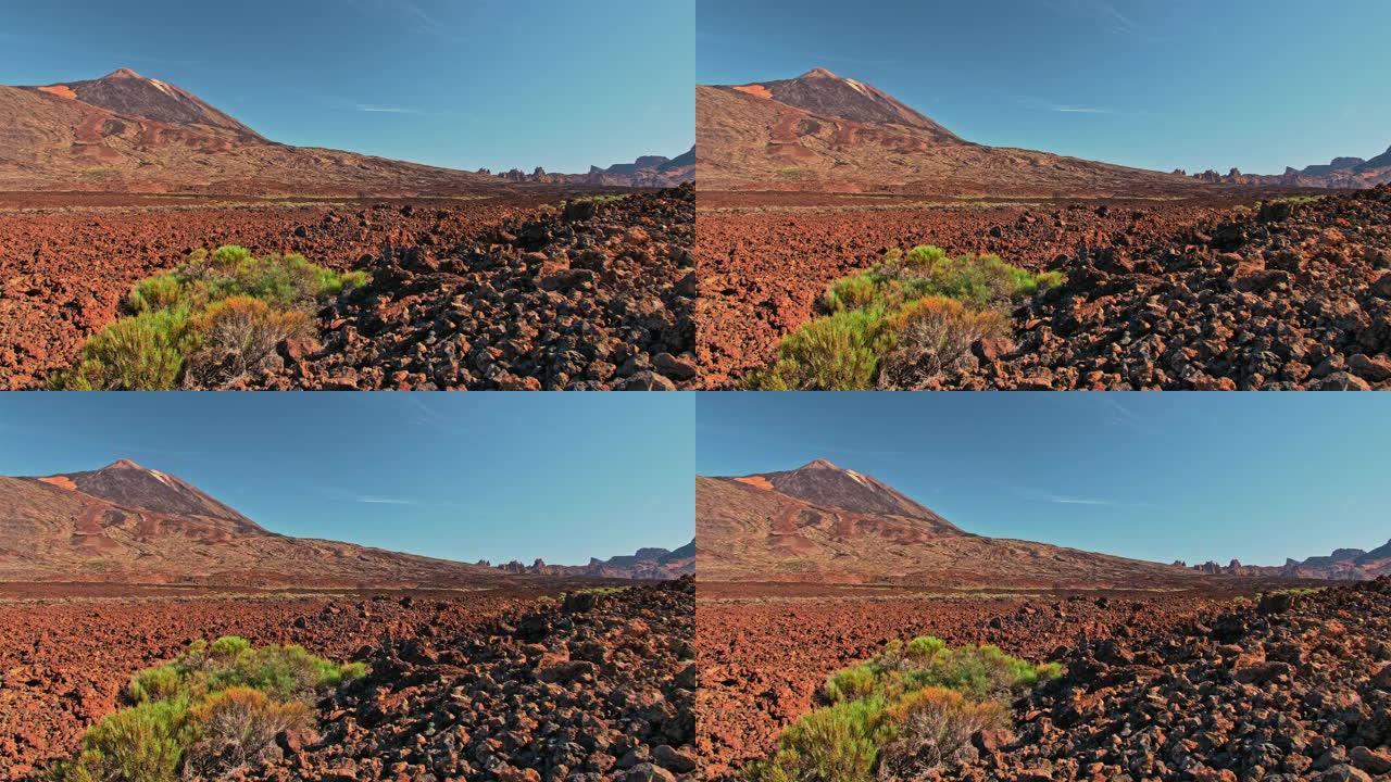 泰德火山，特内里费岛，西班牙加那利群岛。国家公园中的干旱沙漠，红色火星表面和野生绿色灌木丛