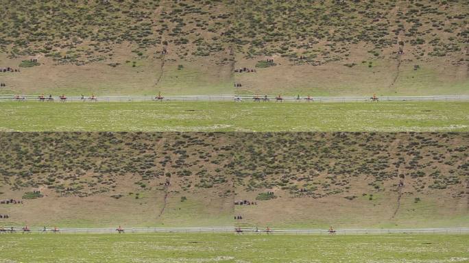 西藏风土人情 西藏赛马节 草原赛马