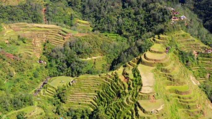 菲律宾的水稻梯田。美丽的一天里山中山谷里的精彩农业 -- 无人机4k鸟瞰图