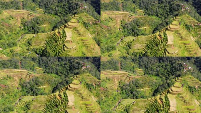 菲律宾的水稻梯田。美丽的一天里山中山谷里的精彩农业 -- 无人机4k鸟瞰图