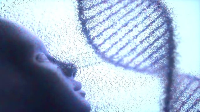 人类Origen DNA遗传分子结构