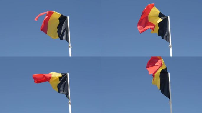 波浪形比利时国家象征上的4K风