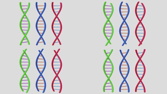 3d动画DNA双螺旋