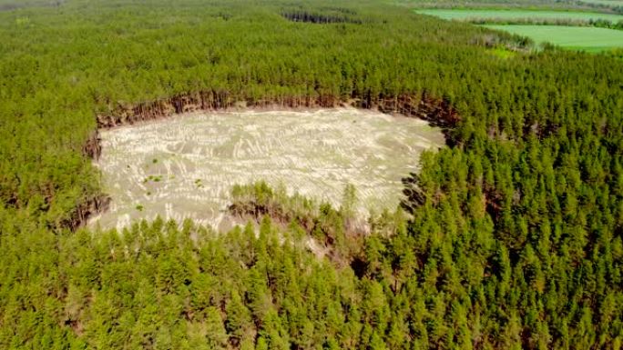 由于非法砍伐森林，针叶松林内大空洞的空中无人机视图。