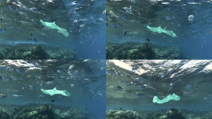 慢动作，一个废弃的黄色塑料袋在背景珊瑚礁上与热带鱼群一起缓慢漂浮在水面下。鱼学校印度-太平洋军士长或