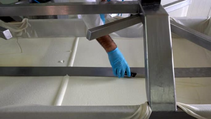 工人用刀在奶酪生产线上切割奶酪