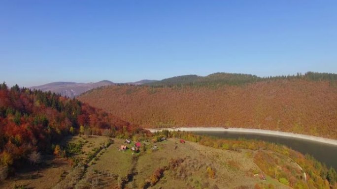 在阳光明媚的秋天，在散布着房屋和橙色落叶松森林的小山村上空前进。山间蜿蜒的山路鸟瞰图。